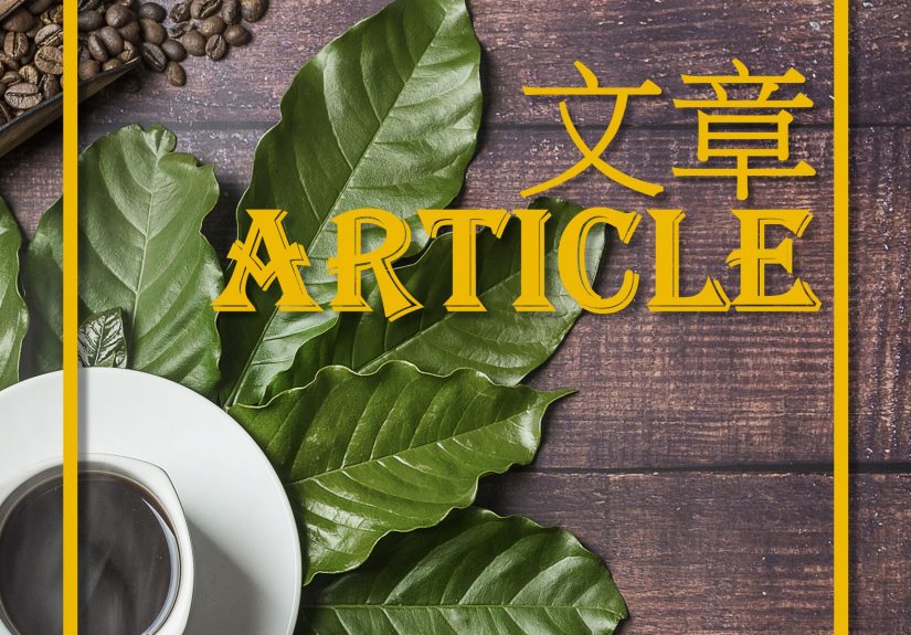 文章Article